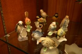 Collection of Eleven Pottery Bird Figurines