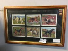 Framed Will's Cigarettes Cards - Hunting Dogs