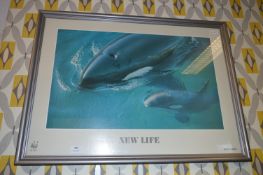 WWF Framed Print - New Life Orca