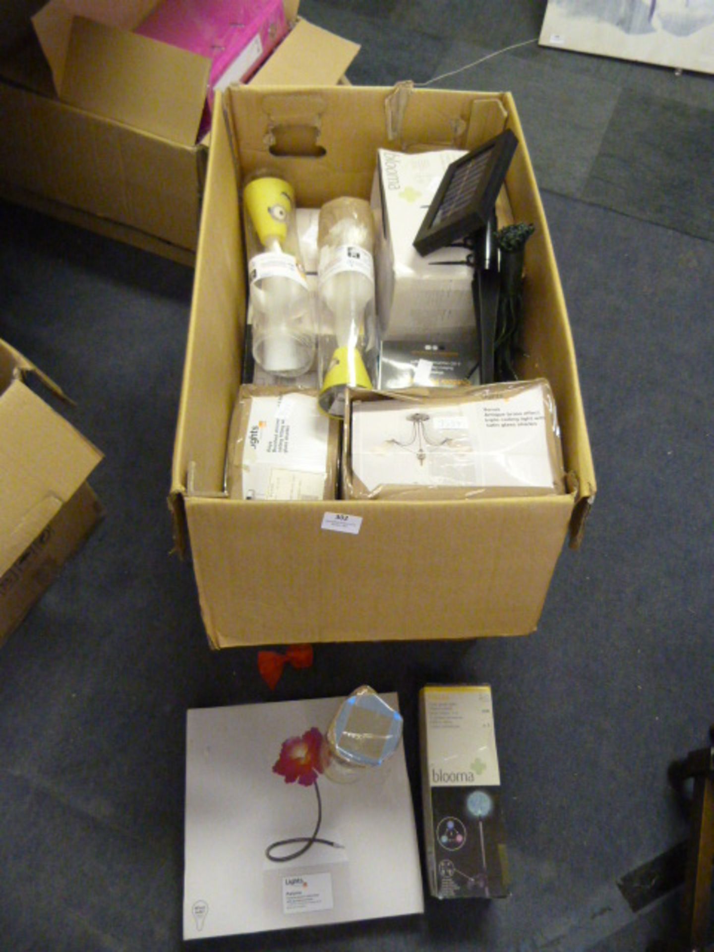 Box Containing Assorted Lighting; Fibre Optic Lamp