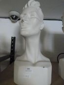 *Male Mannequin Head