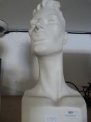 *Male Mannequin Head