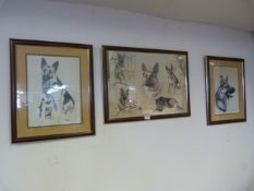 Three Framed Prints - Alsatians