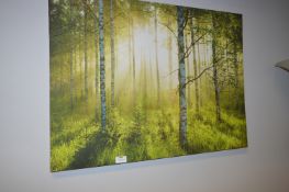 Print on Canvas - Woodland Scene