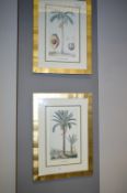 Pair of Framed Prints - Palm Trees