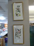Pair of Framed Needlework Pictures - British Wild