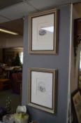 Pair of Framed Victorian Ink Drawings