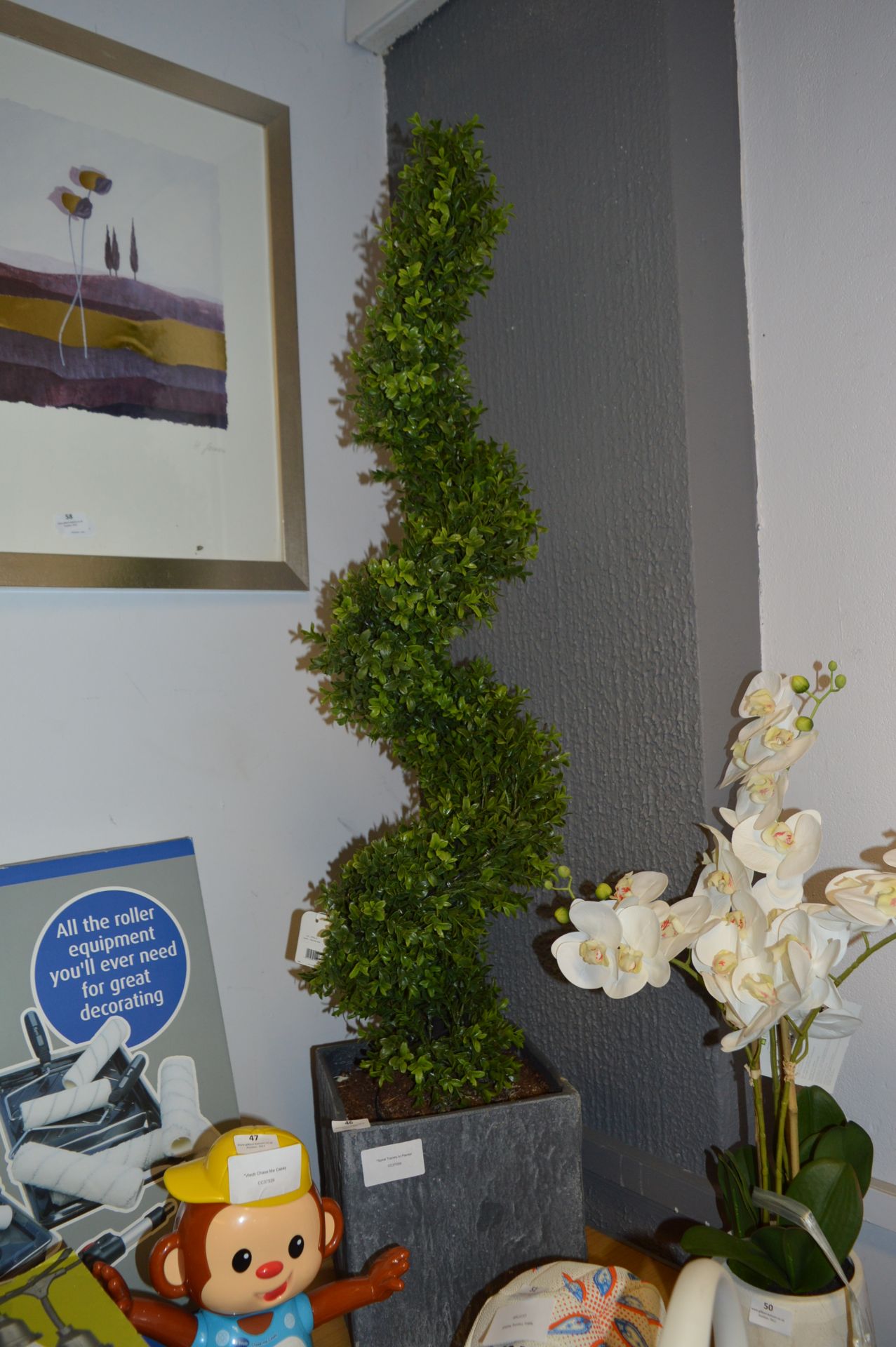 Spiral Topiary in Planter