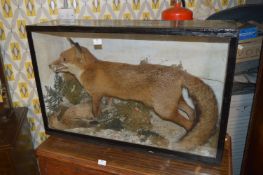 Cased Taxidermy of a Fox with Duck