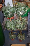 Pair of Artificial Ivy Buxus Plants