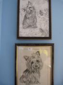 Two Framed Print - Yorkshire Terrier