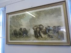 Large Framed Print - Elephant at Amboseli by David