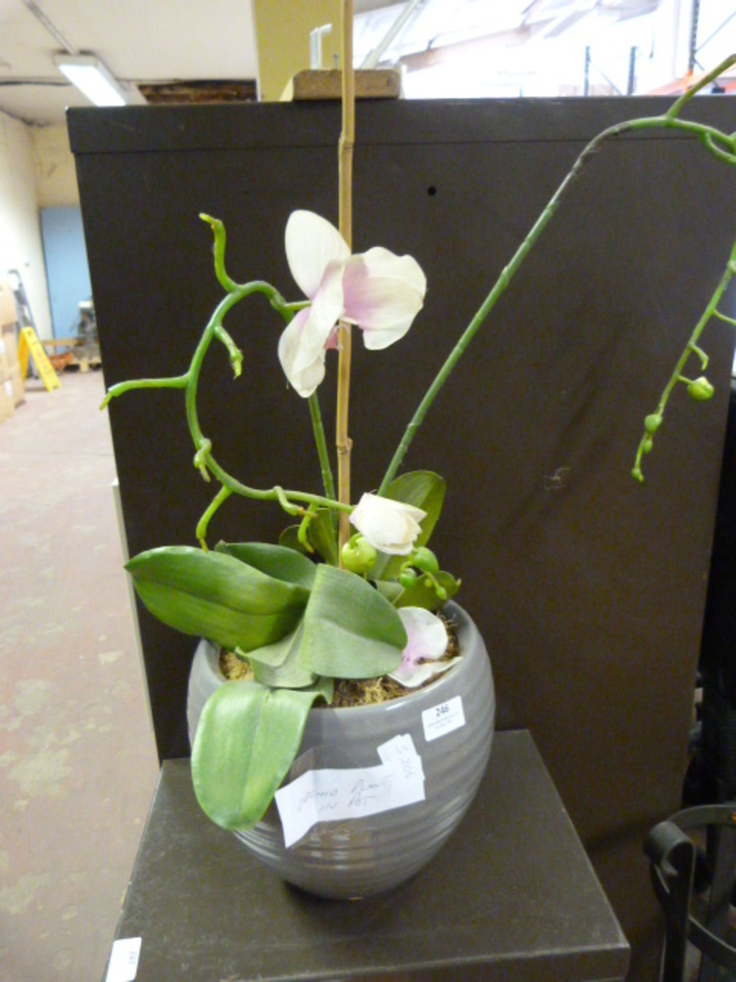 Plastic Orchid in Pot