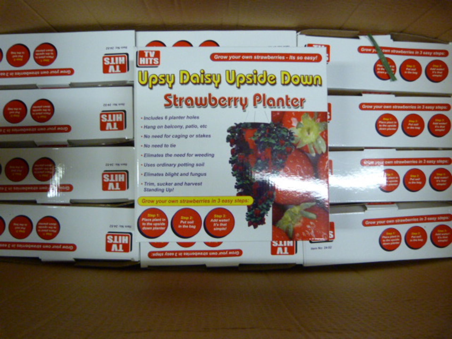 *Thirteen Boxes of Upsy Daisy Upside Down Strawberr