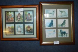 Two Framed Cigarette Card Sets - Owls and Labrador