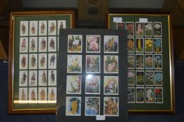 Framed Player's and Wills Cigarette Cards - Scotti