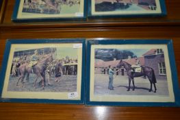 Two 1960's Framed Race Horse Photo Prints