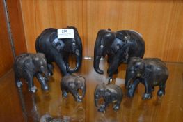 Six African Carved Ebony Elephants