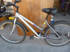 Raleigh Free Ride Mountain Bike