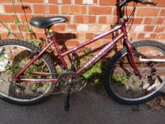 Limited Edition Raleigh Liberty Bicycle