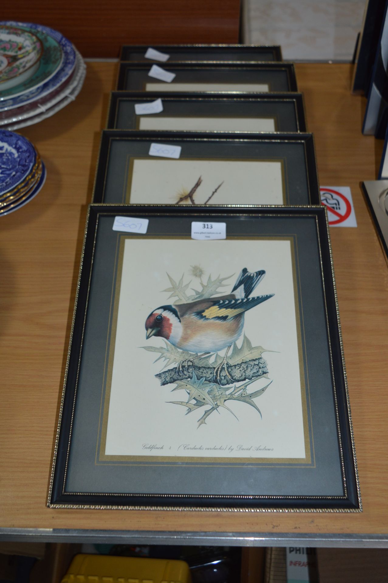 Set of Five Framed Prints - British Wild Birds