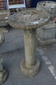 Concrete Birdbath