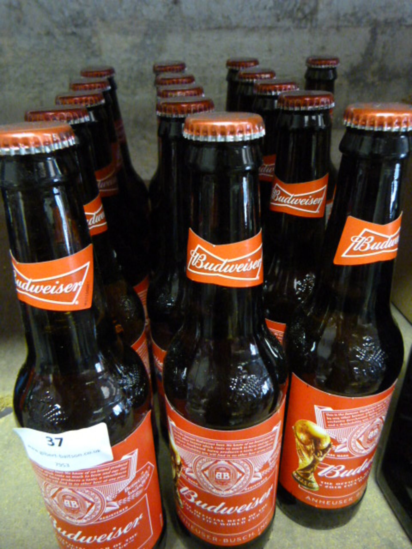 *x16 330ml Bottles of Budweiser