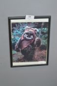 Framed & Signed Promotional Print - Star Wars Ewok