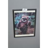 Framed & Signed Promotional Print - Star Wars Ewok