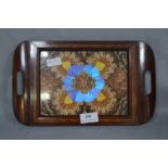 Edwardian Mahogany Inlaid Butterfly Tray