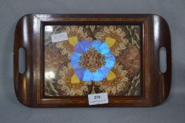 Edwardian Mahogany Inlaid Butterfly Tray