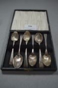 Cased Set of Six Shell Patterned Teaspoons - Approx 82g