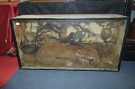 Cased Taxidermy of a Fox and Various Birds