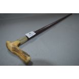 Horn Handled Walking Cane