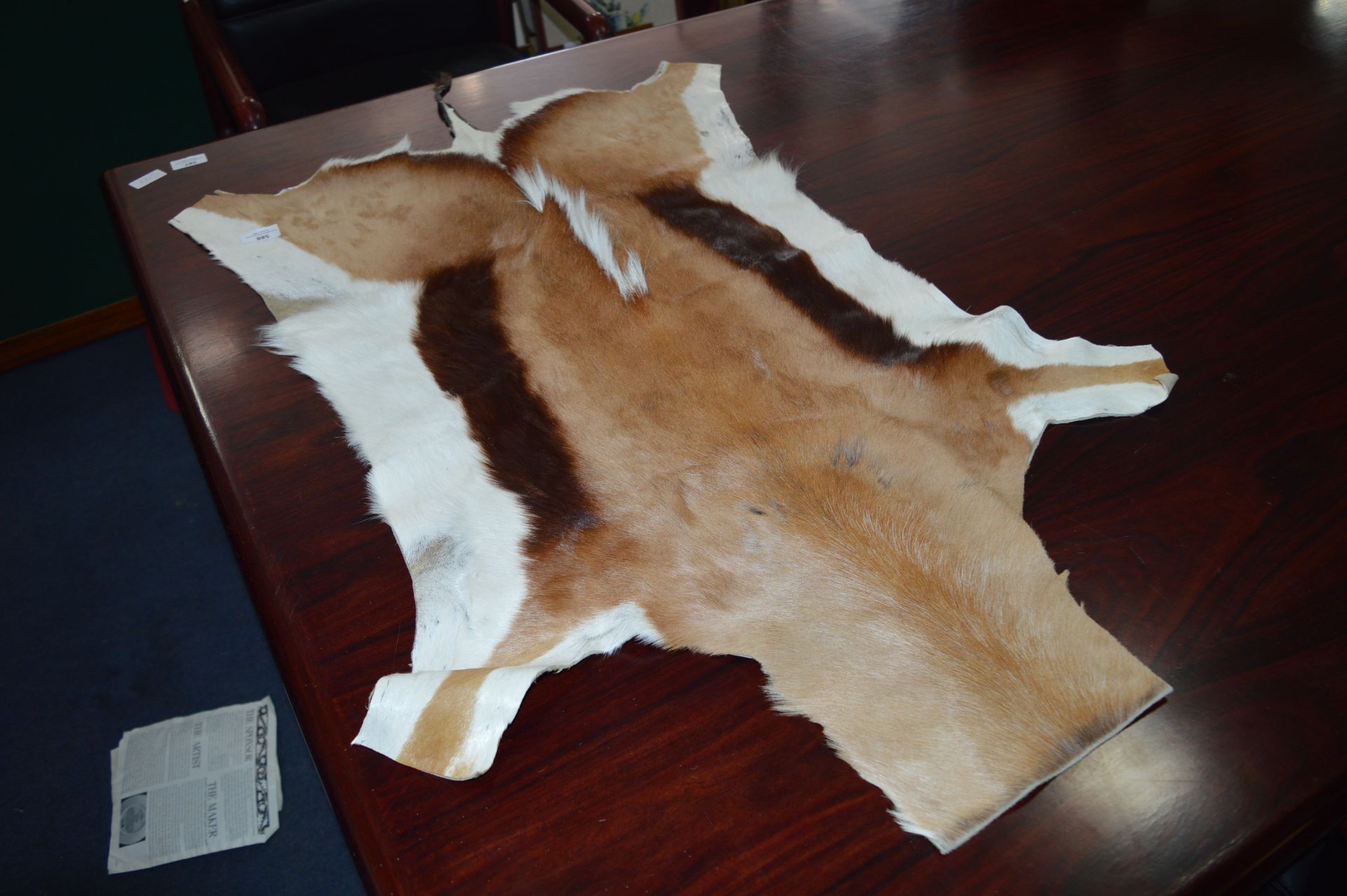 Gazelle Skin Rug