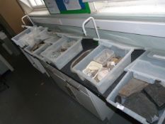 *Collection of Fossils and Geological Samples