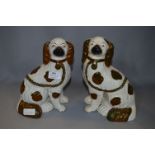 Pair of Staffordshire Type Spaniel Dogs