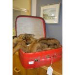 Travel Vanity Case and Contents of Fur Stoles and Muffs