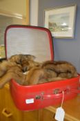 Travel Vanity Case and Contents of Fur Stoles and Muffs