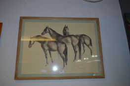 1950's Oak Framed Print - Horses by John Skeaping