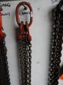 *Set of Twin Lifting Chains