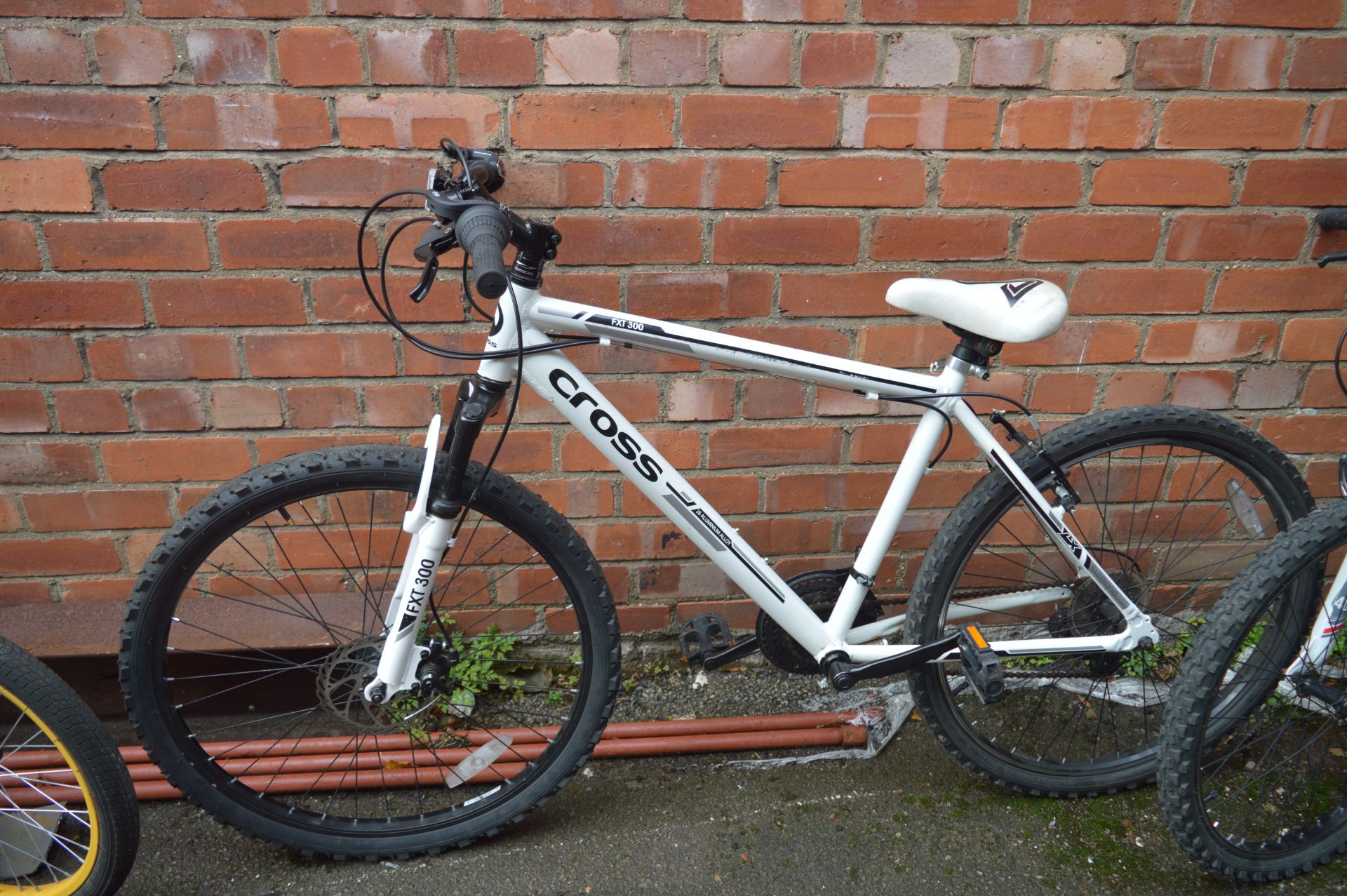 FXT 300 Cross Mountain Bicycle