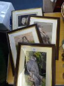 Three Framed Pictures - Birds of Prey and a Robert