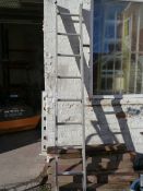 Nine Tread Aluminium Ladder