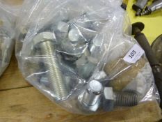 *Bag of Assorted Large Bolts and Screws