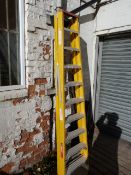 Nine Tread Step Ladder