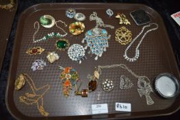 Costume Jewelry Brooches and Necklaces