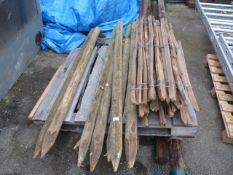 *Quantity of Wooden Fence Posts and Chestnut Pale