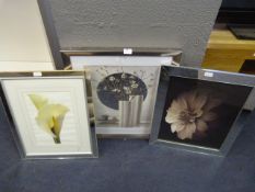 Pair of Mirrored Framed Floral Prints and Others