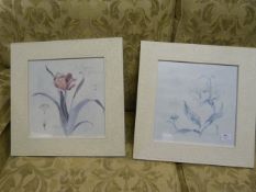 Pair of White Framed Floral Prints